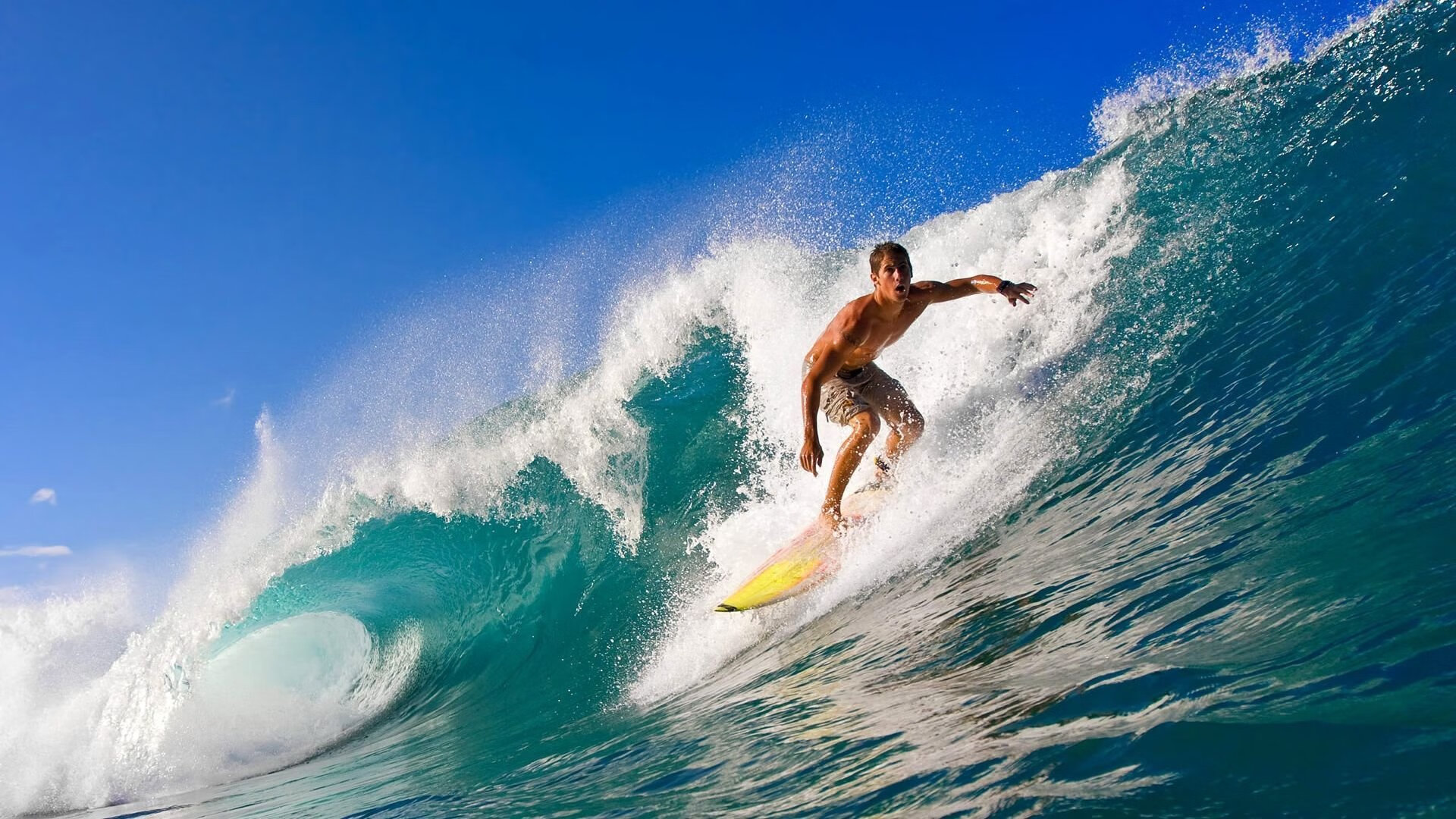 体育场馆资源整合为城市综合服务平台提供新案例